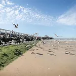 By The Sea Near Marina Blankenberge