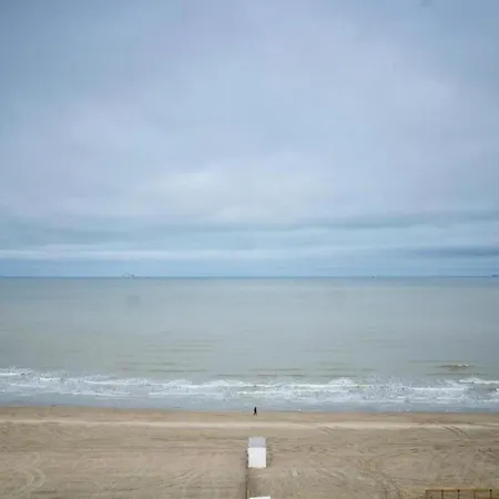 By The Sea Near Marina Бланкенберге
