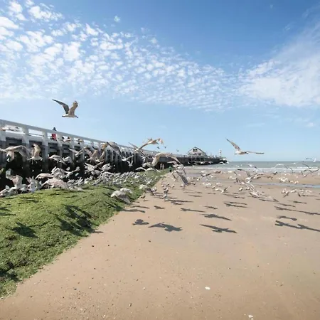 Апартаменты By The Sea Near Marina *