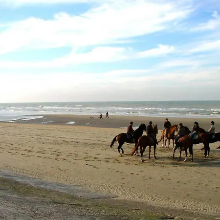 By The Sea Near Marina * Blankenberge
