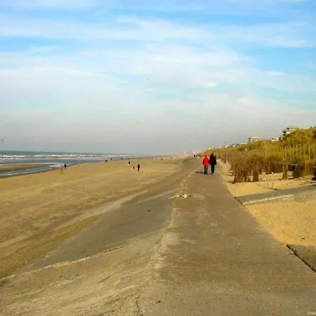 By The Sea Near Marina Blankenberge