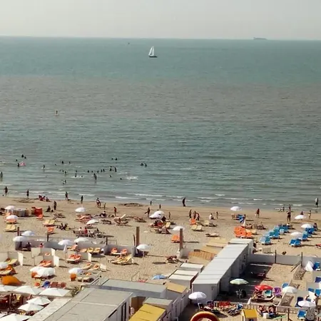 By The Sea Near Marina * Blankenberge