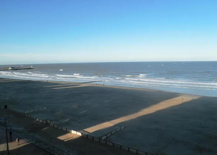 By The Sea Near Marina 布兰肯贝赫