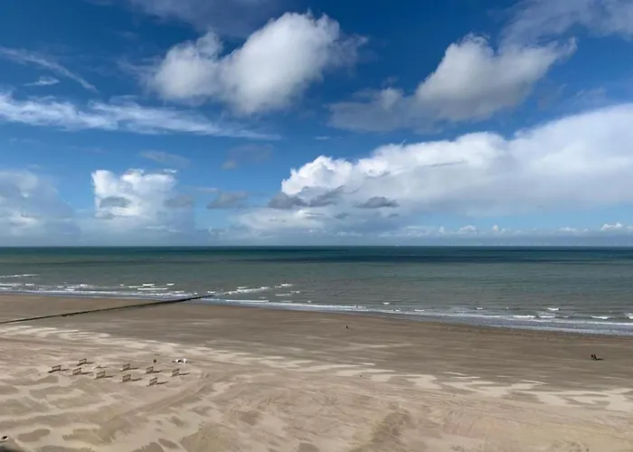 By The Sea Near Marina *