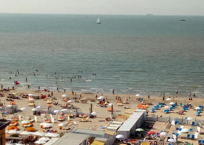 By The Sea Near Marina 公寓 *