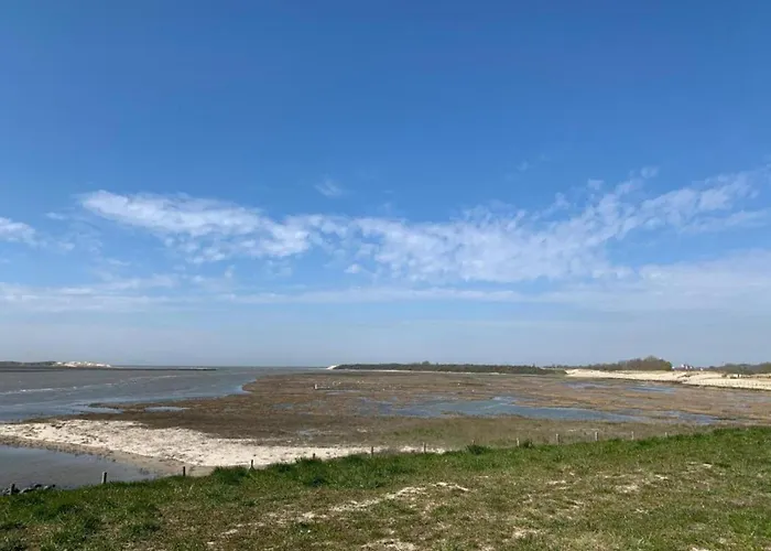 公寓 By The Sea Near Marina 布兰肯贝赫