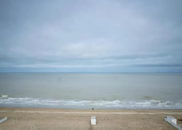 By The Sea Near Marina *