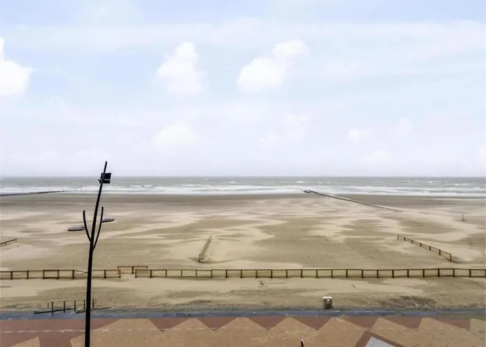 By The Sea Near Marina 布兰肯贝赫