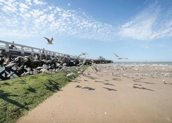 By The Sea Near Marina 布兰肯贝赫