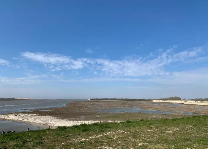 By The Sea Near Marina 公寓 *